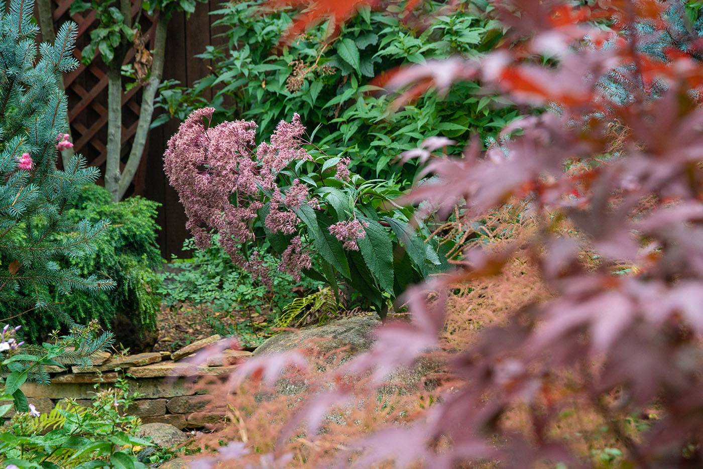 Проект Переделкино