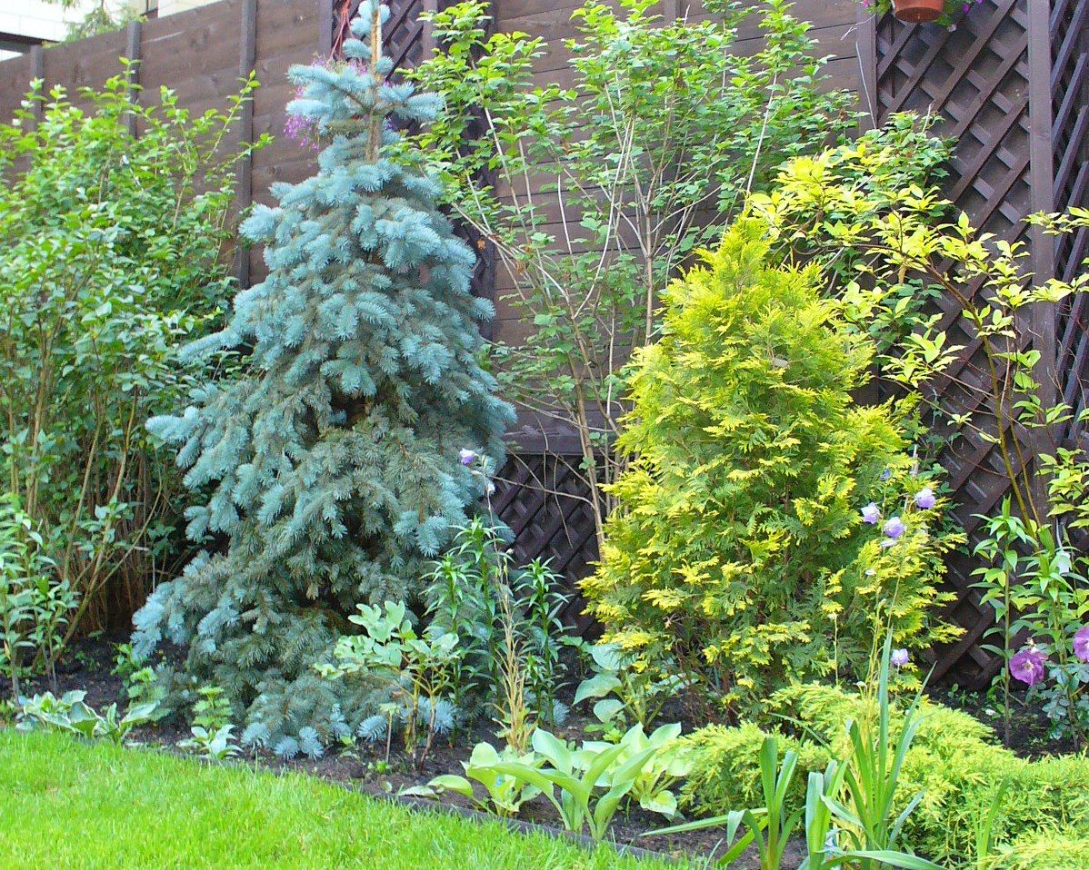 Проект Жуковка